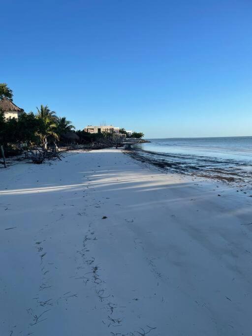 Apartament Casa Molly Isla Holbox Zewnętrze zdjęcie